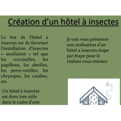 HÔTEL A INSECTES