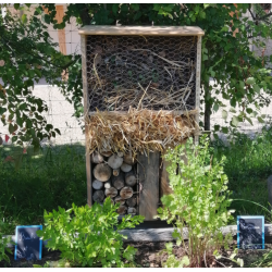 HÔTEL A INSECTES